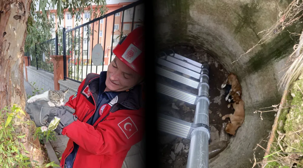 BALIKESİR İTFAİYESİNDEN CAN DOSTLARA KURTARMA OPERASYONU