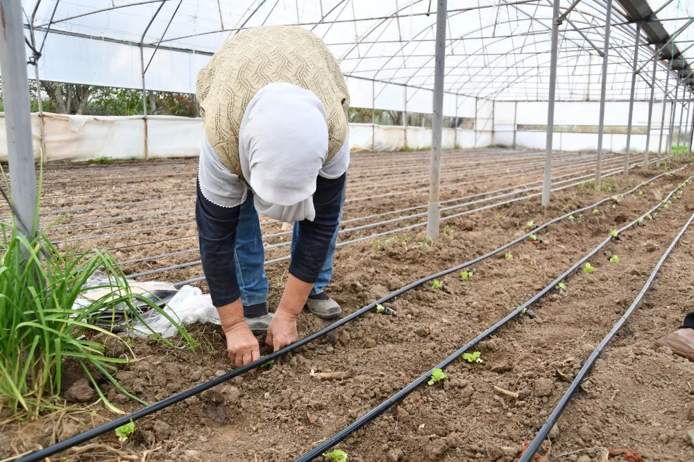 Büyükşehir desteğiyle topraklar bereketlendi