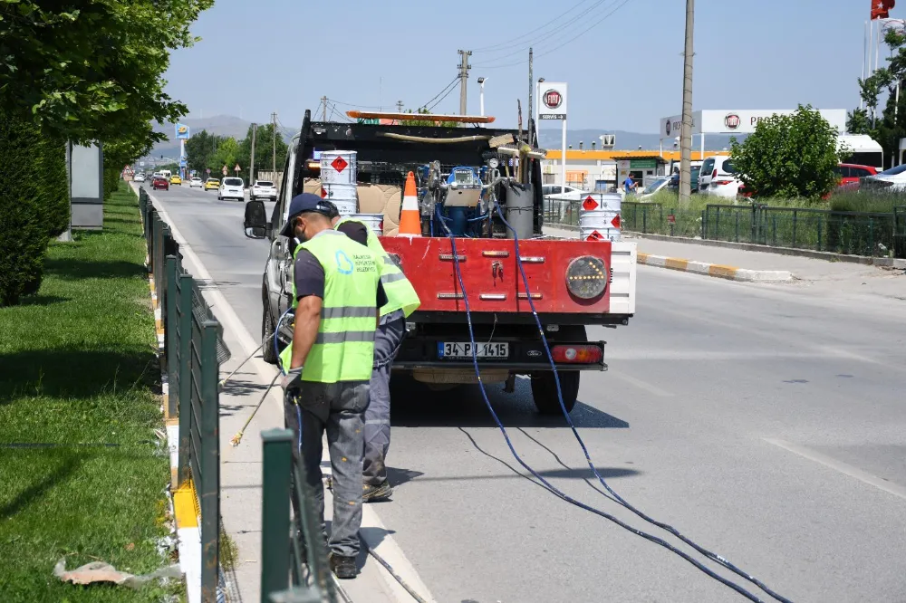 Büyükşehir’den refüjlere estetik dokunuş