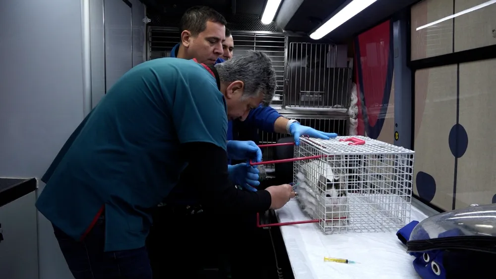 Sokaktaki Canlar “Can Dost”la Emin Ellerde
